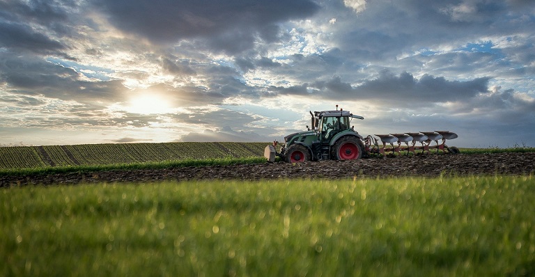 Tractor in a field
