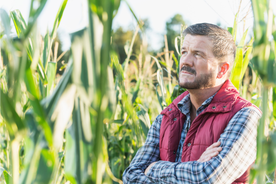 A farmer, mature man in his 50s, standing in the middle of a field of corn on a sunny day, looking upward with a serious, contemplative expression on his face, arms folded across his chest.
