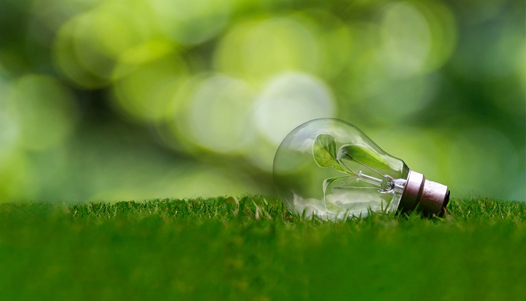 Light bulb with green leaf inside rests on green grass.