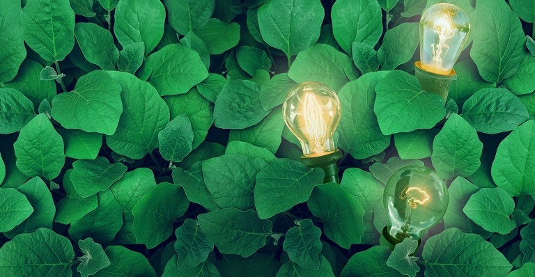 Two energy saving lightbulbs nestled in a backdrop of green leaves.