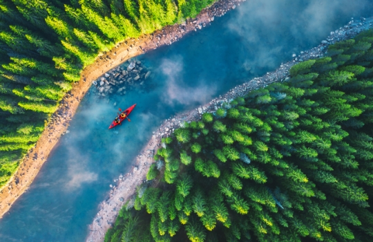 Canoe in a river with evergreens on either bank