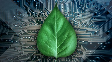 Bright green leaf rests on circuit board