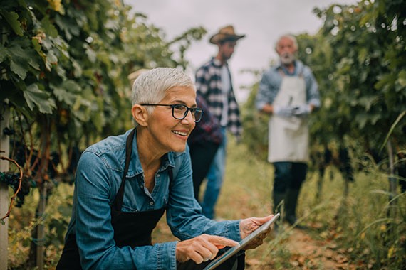 Image of older women with tablet at fruit plantation representing sustainable responsible business and the environment.